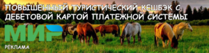 Банер рекламы под топ тур Новочеркасск